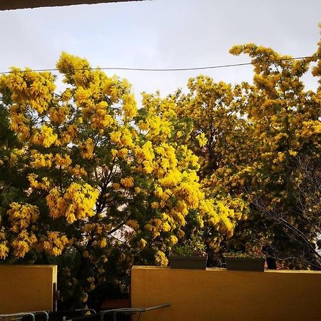 הייר Appartement Proche Mer Avec Terrasse Et Jardin Privatif מראה חיצוני תמונה