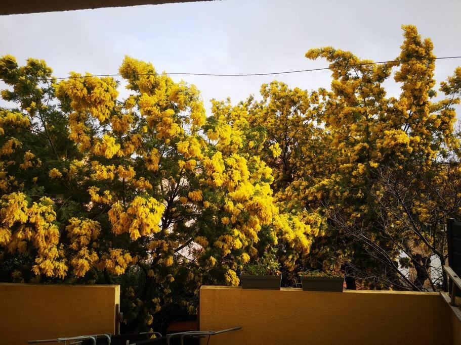 הייר Appartement Proche Mer Avec Terrasse Et Jardin Privatif מראה חיצוני תמונה